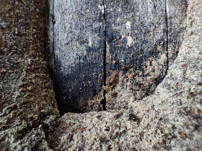 1加手机怎么样 全能的直屏机皇！一加9RT评测：闭着眼买也不会失望