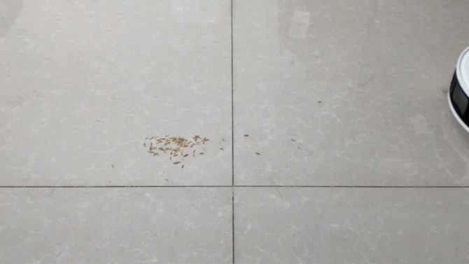 小米扫地机器人深度评测:一站式吸尘清洁全能体验 小米扫地机器人深度评测:一站式吸尘清洁全能体验