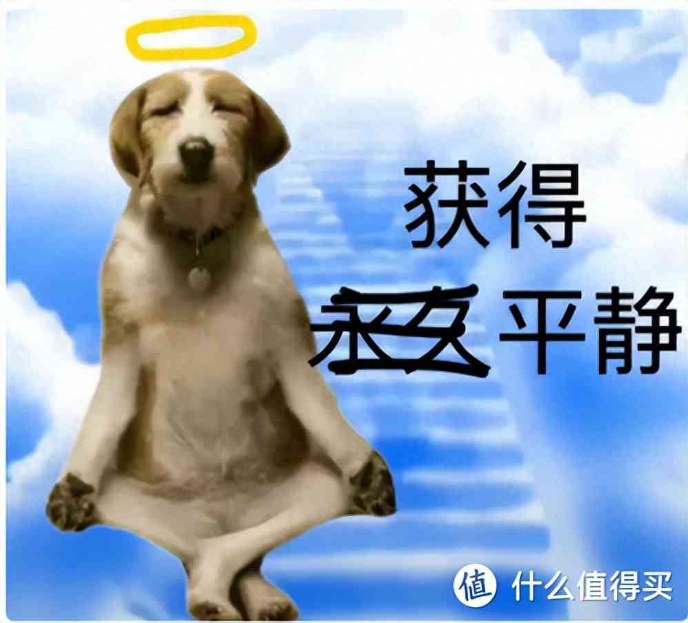 amd显卡怎么样 为什么 AMD 显卡公认性价比更高,但为啥却是叫好不叫座? amd显卡怎么样 为什么 AMD 显卡公认性价比更高,但为啥却是叫好不叫座?