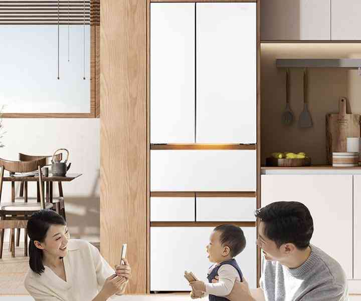 东芝冰箱全面解析:质量、产地与高性价比型号推荐 东芝冰箱全面解析:质量、产地与高性价比型号推荐