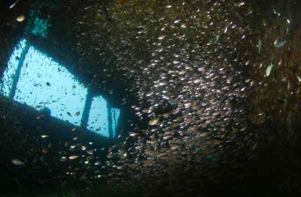 海底是怎么样的 透过镜头感受五彩斑斓的海底世界