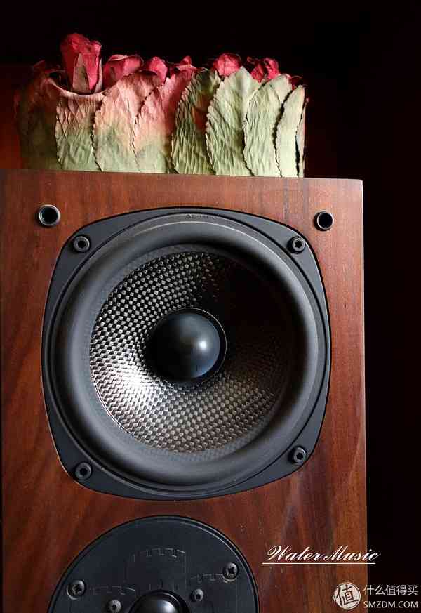 世霸音箱怎么样:重温国产经典音响岁月 世霸音箱怎么样:重温国产经典音响岁月