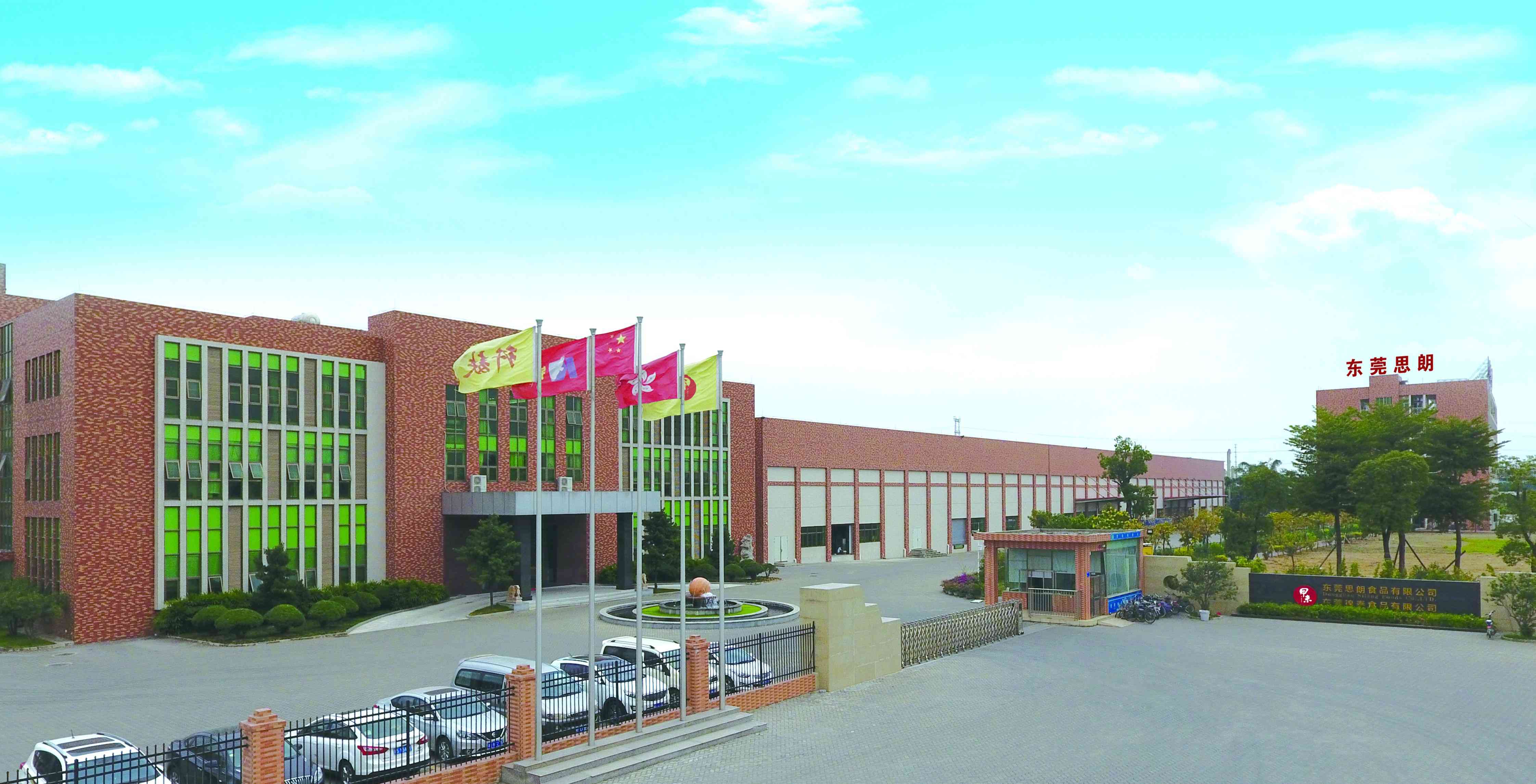 思朗饼干怎么样 莞味智造|东莞思朗:健康类饼干的N种可能,引领行业潮流 思朗饼干怎么样 莞味智造|东莞思朗:健康类饼干的N种可能,引领行业潮流