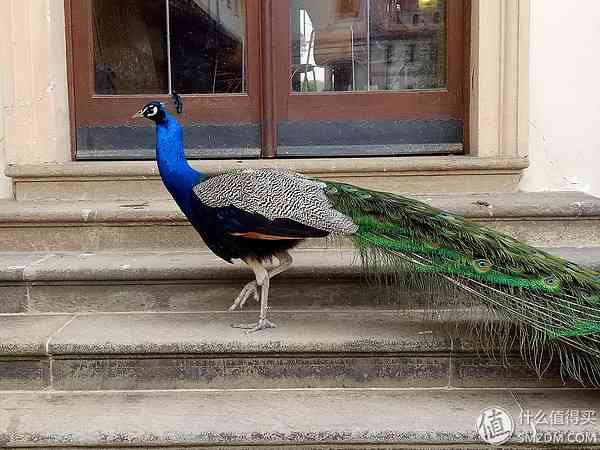 成熟的同时需要进化:OPPO R9使用评测 成熟的同时需要进化:OPPO R9使用评测