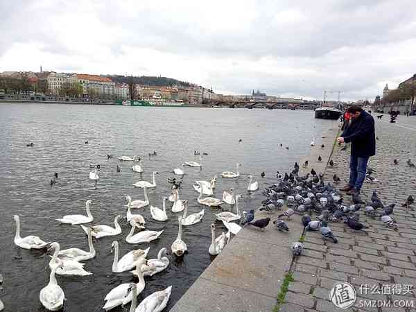 成熟的同时需要进化:OPPO R9使用评测 成熟的同时需要进化:OPPO R9使用评测
