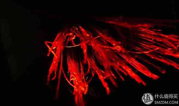 索尼RX100怎么样?也谈谈自己使用的SONY索尼DSC-RX100黑卡数码相机 索尼RX100怎么样?也谈谈自己使用的SONY索尼DSC-RX100黑卡数码相机