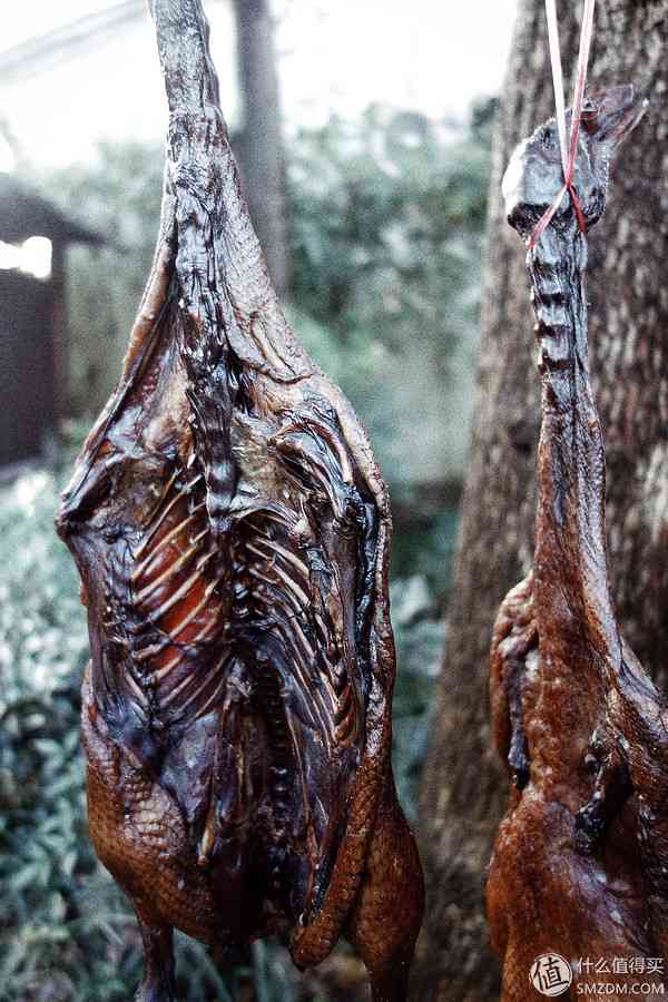 索尼RX100怎么样?也谈谈自己使用的SONY索尼DSC-RX100黑卡数码相机 索尼RX100怎么样?也谈谈自己使用的SONY索尼DSC-RX100黑卡数码相机